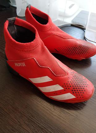 Adidas predator .original дитячі2 фото