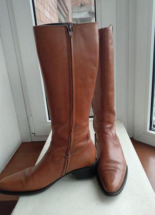 Женские демисезонные сапоги baldinini