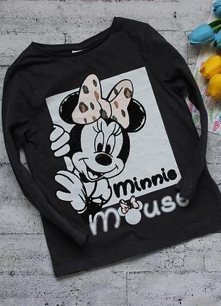 Кофта, реглан, лонгслив 3-4 роки