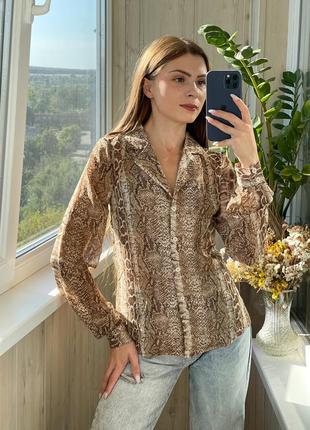 Красивая блуза рубашка в питоновый принт 1+1=3
