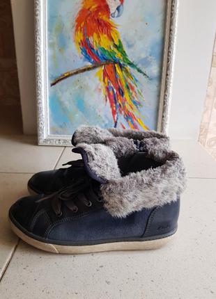 Ботинки clarks, длина стельки 22,5-23 см.
