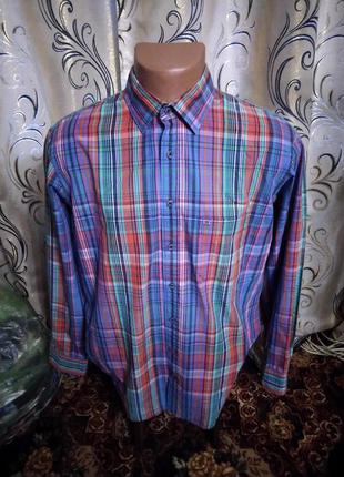 Стильная мужская рубашка в клетку olymp