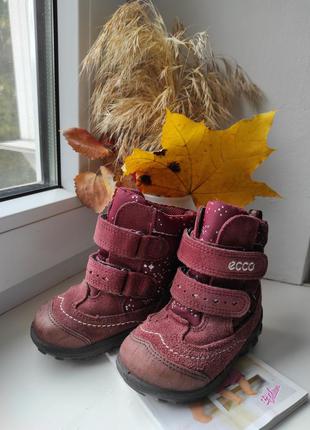 Ботинки ecco