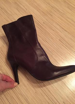 Чоботи демісезонні