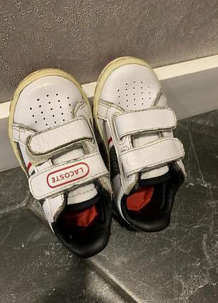 Кроссовки лакосте lacoste