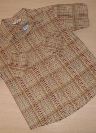 Рубашка летняя george, 7-8 лет, 122-128 см, оригинал, италия
