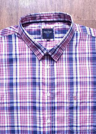Теніска синя рожева james pringle (англія) xxl , xxxl в клітинку, коттон