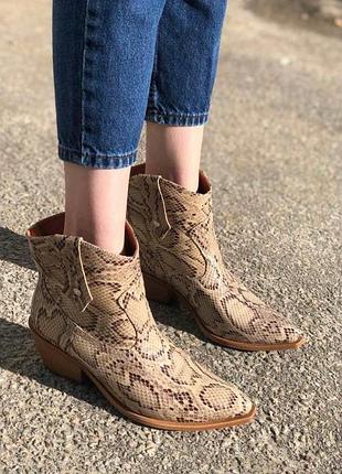 Ботинки казаки кожаные цветом под питон