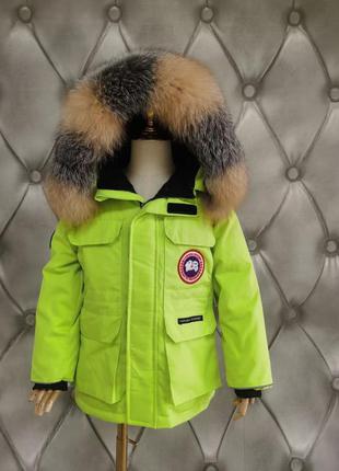 Зимняя парка canada goose