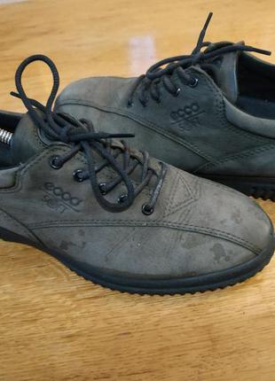 Ecco кроссовки ботинки туфли на шнурках кросівки туфлі6 фото