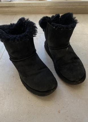 Сапоги ugg