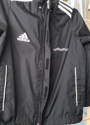 Вітровка adidas оригінал4 фото