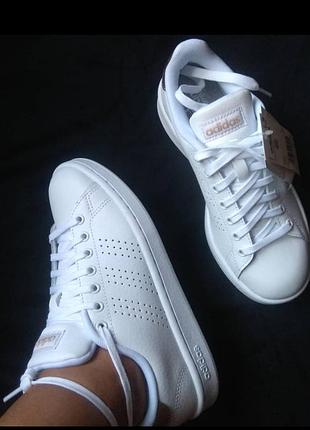 Кроссовки adidas