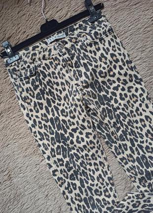 Крутые джинсы скинни леопард/штаны/брюки4 фото