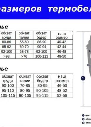 От xs до xl, зональное термобелье crivit pro, германия10 фото