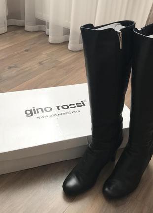 Чоботи жіночі gino rossi