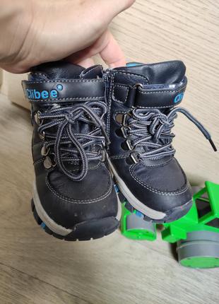 Зимние ботинки сапожки