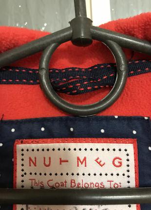 Подовжена куртка nutmeg 122-128 см 4