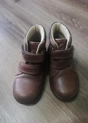 Демі черевики clarks 3