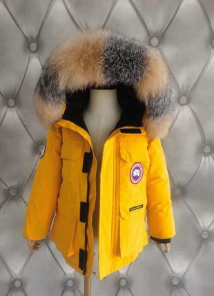 Зимняя парка canada goose