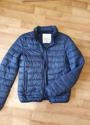 Осіння куртка