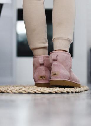 Ugg mini pink зимові чоботи уггі міні рожеві6 фото