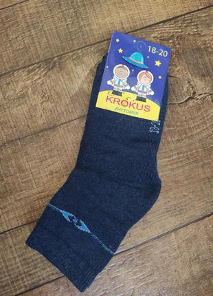 Носки шкарпетки махра тёплые зимние 29-31 для мальчика хлопчика 26-282 фото