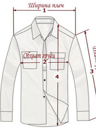 Велика жіноча шкіряна куртка echtes leder. німеччина. лот 10288 фото