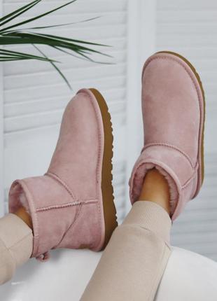 Угги сапоги ugg mini pink7 фото