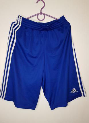 Шорти adidas performance
