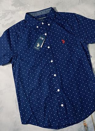 Рубашка polo assn l(14/16 лет)