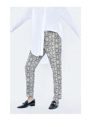 Тёплые брюки штаны zara с змеиным принтом