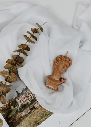 Ароматична соєва свічка david