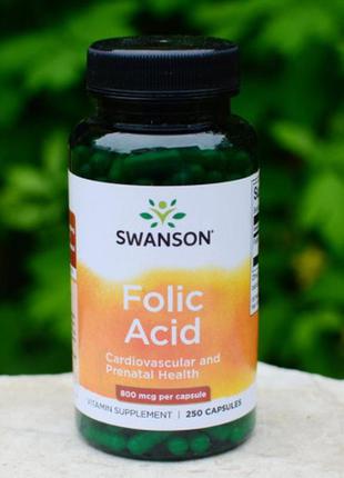 Фолиевая кислота folic acid iherb