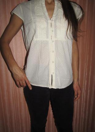 Блуза кремовая1 фото