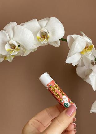 Sierra bees 🐝 lip balm-бальзам для губ