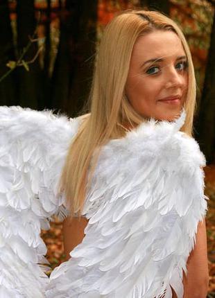 Крылья ангела маскарадные белые из натурального перьев + подарок2 фото
