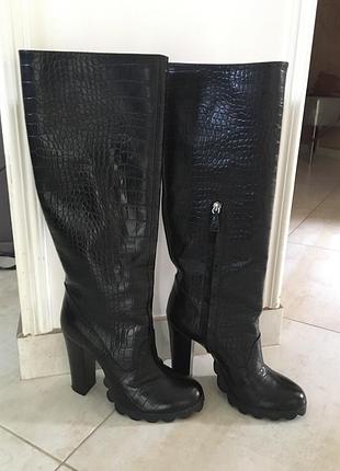 Чоботи pollini