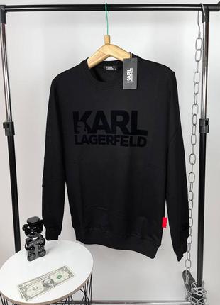 Чоловічий світшот