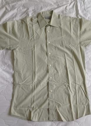 Рубашка с коротким рукавом kashtan (каштан)1 фото