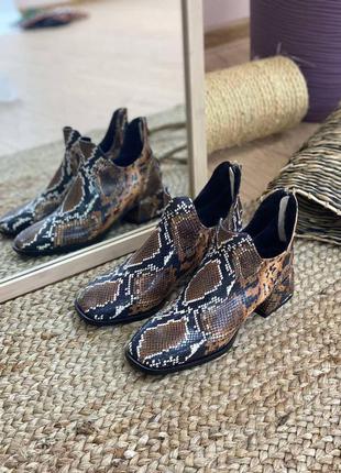Стильні черевики шкіра рептилія
