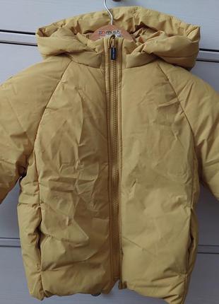 Новая курточка zara