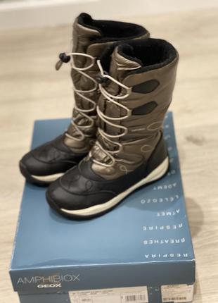 Зимние сапожки geox