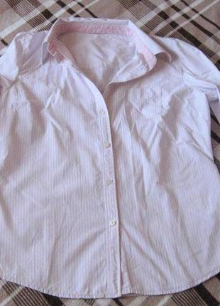 Распродажа рубашек 50-120 грн!!! рубашка в розовую полоску4 фото