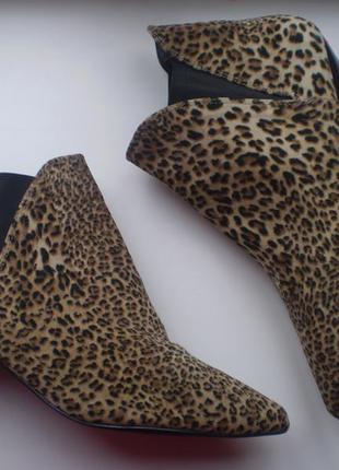 Женские челси ботинки  kaleidoscope uk8 42р. леопардовые3 фото