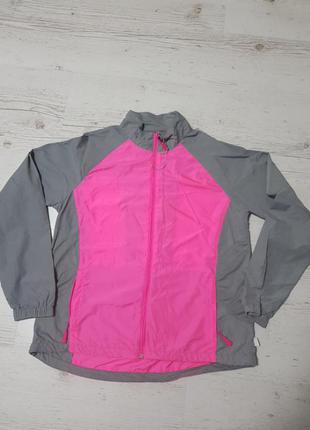 Вітровка дощовик