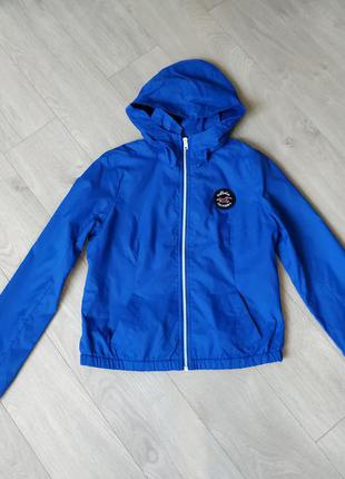 Вітровка hollister