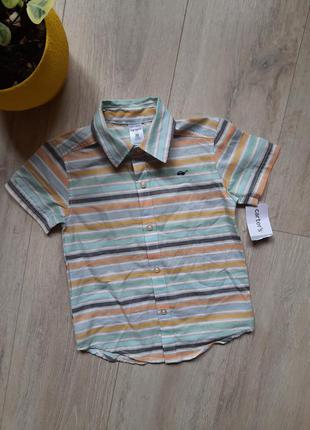 Carter' s рубашка 2 года хлопок летняя рубашка картерс шведка детская одежда