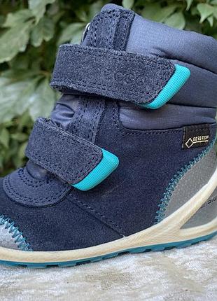 Деми ботинки ecco biom gore-tex 21 р