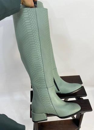 М'ятні дизайнерські belucci 👄белуччі чоботи пітон осінь зима шкіра натуральна